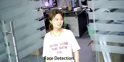 face detection